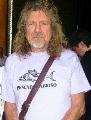 Robert Plant by Indica Boutique